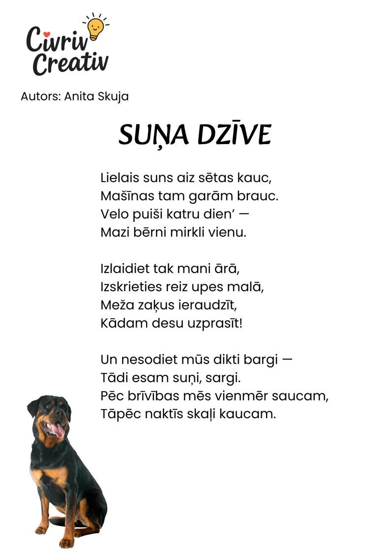 2-SUNA-DZIVE.jpg